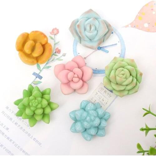 Resin Succulent Plant Fridge Magnet Silicone Creative Refrigerator Magnet for House Office Kitchen Whiteboard
