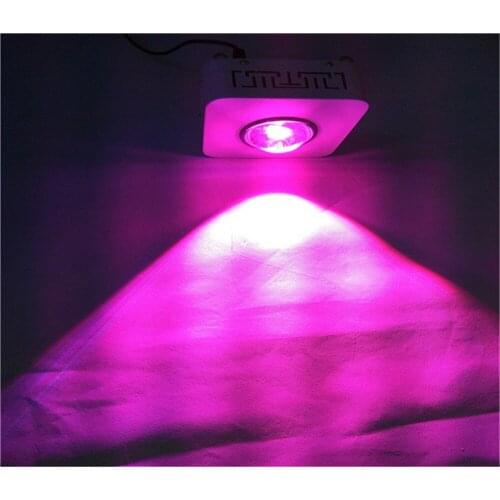 150W led grow light lamps Led horticulture lighting red blue best for Medicinal plants growth and flowering