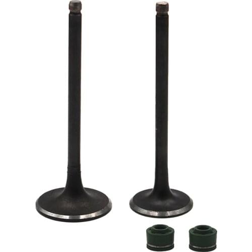Motorcycle Engine Parts Intake & Exhaust Valve Stem Kit For SUZUKI DR200 DF200 DR 200 DF 200 RV200 VAN VAN200 2000-06 2007-2017