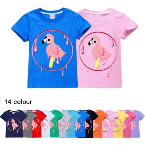 Youth Boy Tshirt Flamingo Flim Flam T-shirts for Girls Kids T Shirts Big Boys Short Sleeve Tees Kids Summer Clothes Pink Shirt
