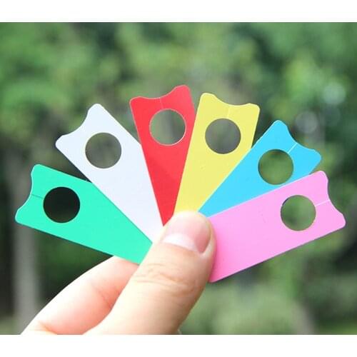 100pcs PVC Plastic Plant Marker Lable For Garden Thick Hanging Plant Tag Waterproof Reusable 5*2cm
