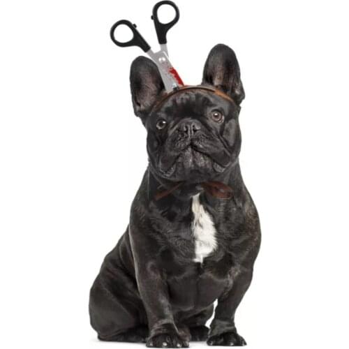 Tricky Pet Products Dog Cute Drop Shipping Halloween Cat Hat hairband Celebration Puppy Outdoor Accessories Party cosplay