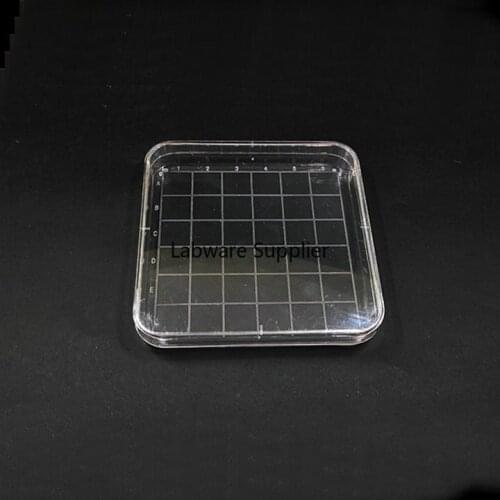 10pcs/lot Disposable 10cmx10cm Plastic Polystyrene Square Petri Dish, culture dish plate for Laboratory analysis