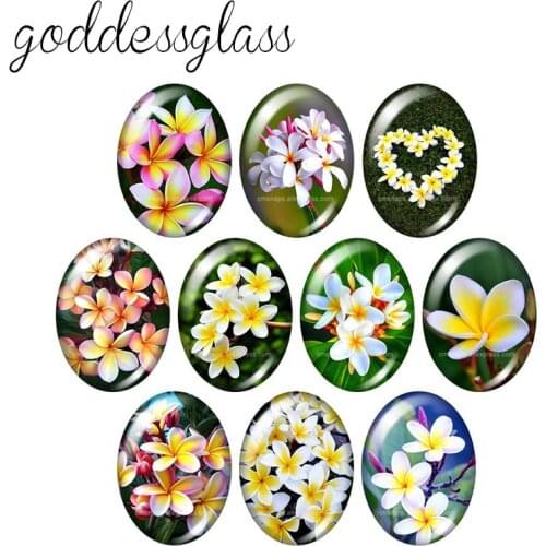 Flowers Life tree Colorful Feather 10pcs mixed 13x18mm/18x25mm/30x40mm Oval photo glass cabochon demo flat back Making findings
