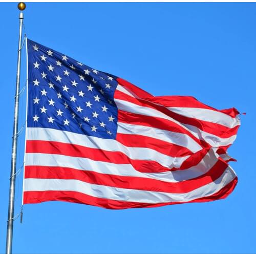 2020 USA Flag usa Flag Blue Line usa Police Flag of United States the Stars and the Stripes American Flag DA