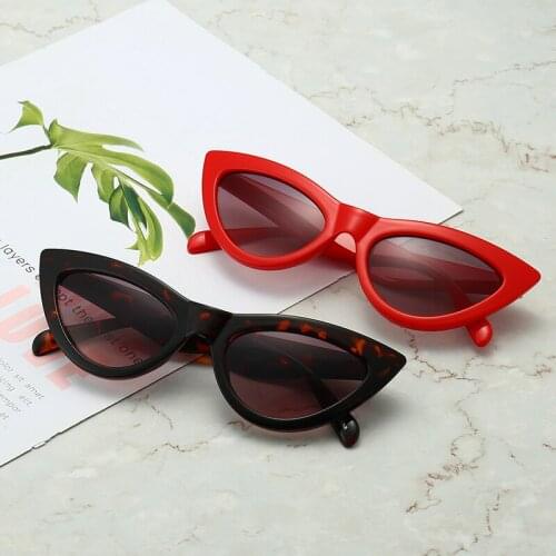 Fashion Hot Sell in US Market Cat Eye Shape PC Sunglasses 2021