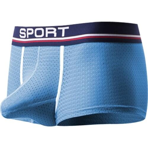 Male Underwear Underpants Sexy Boxer Men Ice Silk Hollow ropa hombre Mesh Bulge Penis Pouch cueca Boxers Bottoms Plus size