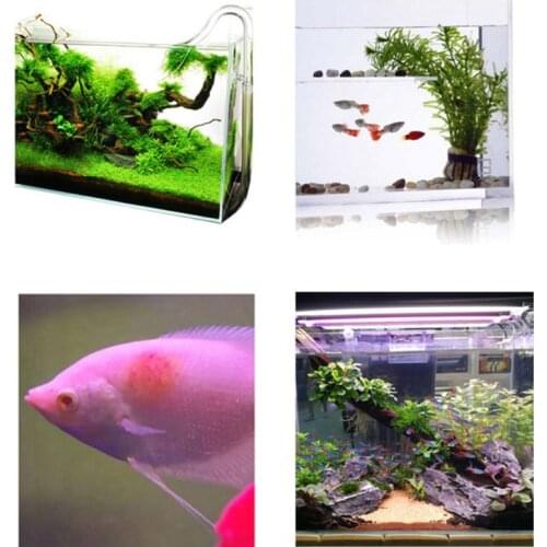 C5AC Aquarium Fish Tank Instant Yellow Powder For Ornamental Fish Prevent Infection Medicine For Injured Health Supply