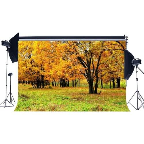 Autumn Backdrop Golden Leaves Backdrops Jungle Forest Trees Grass Meadow Nature Outdoor Background
