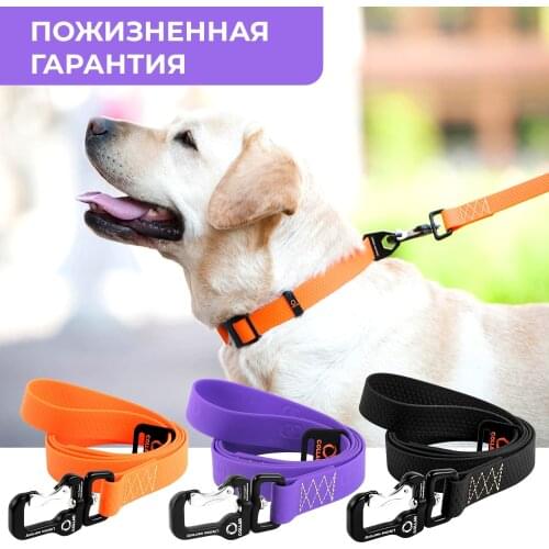 EVOLUTOR Collars, Harnesses And Leashes