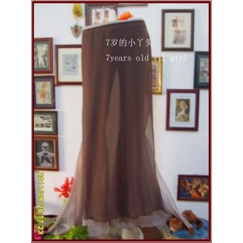 Transparent Thin Skirt With Open Slit Belly Dance CX02