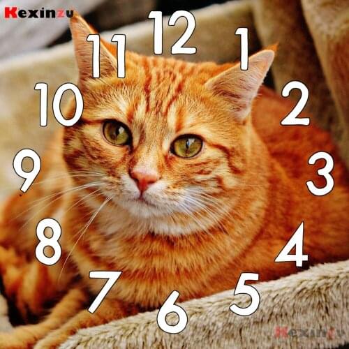 Full Diamond Painting kit Cross Stitch With Clock Mechanism Mosaic 5D Diy Square Round Animal Cat 3d Embroidery Gift FH01