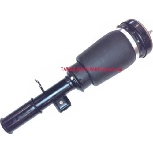 Front Left Air Suspension Shock Absorber Strut For BMW X5 2000-2006 E53