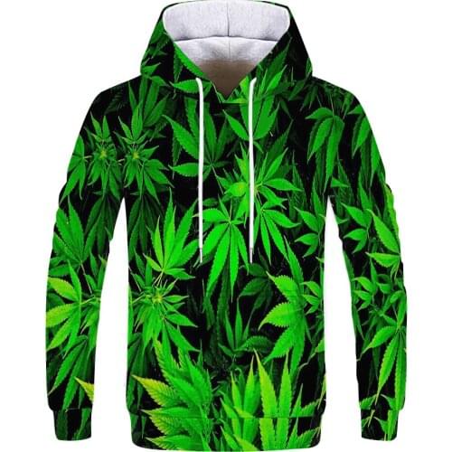 Spring, autumn and winter fashion new plant flowers and birds 3D printing pattern mens cool hoodie sweater