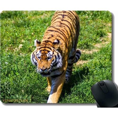 Gaming Mouse Pad Custom,Tiger Predator Grass Big Cat 116329 Mouse Pads With Stitched Edges