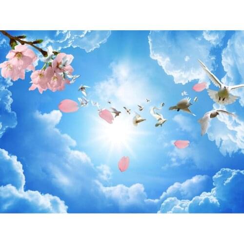 Ceiling Wall Painting Living Room Bedroom Wallpaper Home Decor Stereo Cloud Peach Ceiling Mural