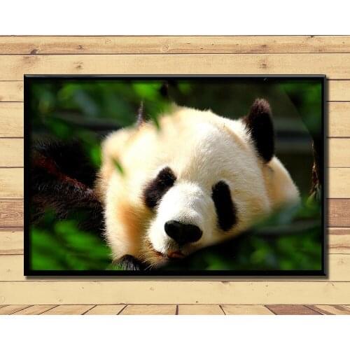 QUANLEINONG Home And Garden Products