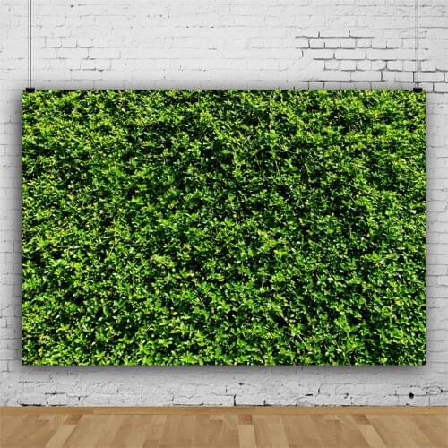 Plants Backdrop Beauty Lush Foliage Party Photography Background Holiday Celebration Photo Booth Studio Decor