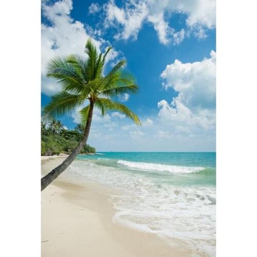 Hawaiian Style Photography Background Blue Sky With White Clouds Green Palm Tree On The Beach Backdrop For Photo Booth