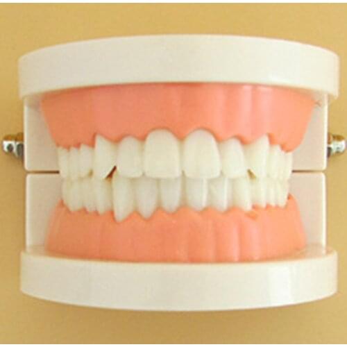 Busy Board DIY Accessories Tooth Model Montessori Developmental Toy Cognition Game