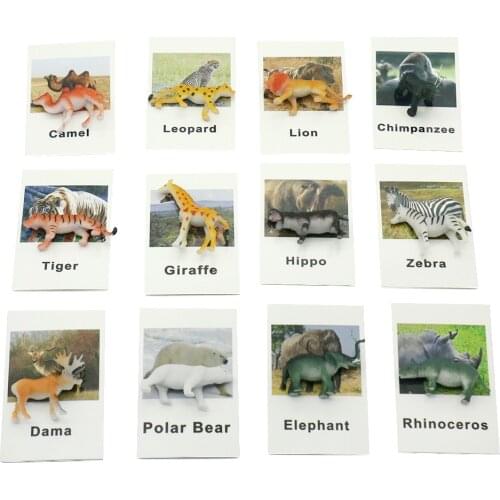 Wild Animal Matching Game Montessori Baby Training Cards Educational Words Learning Toys For Toddlers Juguetes K2344H