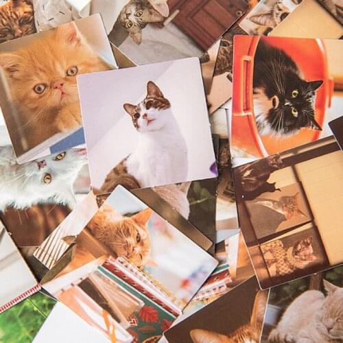 46PCS/lot Lovely Cat DIY Decorative Universal Sealing Stickers For Hand Account Diary Phone Background Material