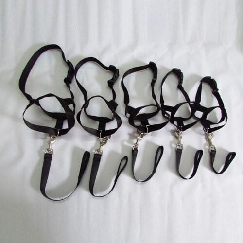 Pet Dog Muzzles Adjustable Puppy Nylon Training Leash Leader Breakaway Safety Harness Solid Dog Collar Muzzle Collar Harness