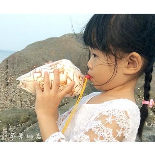 Large natural landscape of conch shells can whistle sounded. Conch shells whistle Creative shell crafts decoration style statue