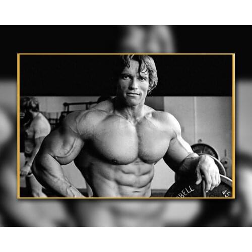 24 Custom Poster Silk Home Deco ARNOLD SCHWARZENEGGER Bodybuilding Motivational Gigantic Strong Wall Art Christmas Gift
