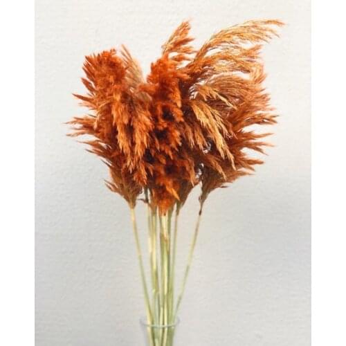 Pampas Tile decoration artificial flower искусственный цветок