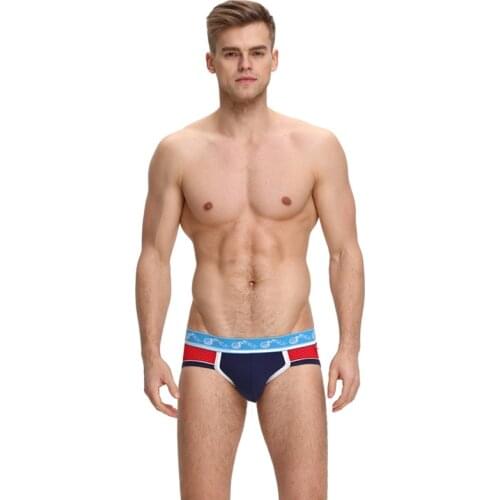 PYONGRAINS 2018 Men Underwear Briefs High Elasticity Sexy Hollow Mesh Shorts Gay Man Pants Quick Drying Breathable Crotch Cotton