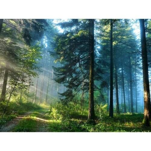 GATYZTORY Jungle Landscape Oil Painting By Numbers Kits For Adults Children Handmade Diy Gift Modern Home Living Room Craft