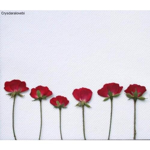 120pcs Pressed Press Dried Rose Dry Flower Plants For Epoxy Resin Pendant Necklace Jewelry Making Craft DIY Accessories