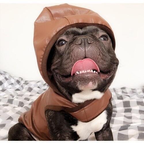 Winter Autumn Pet Dog Clothes for Small Dogs Clothing Hoodies French Bulldog Thick Jacket Pug Costume Ropa Para Perro M-2XL