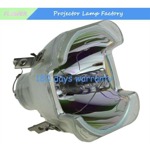 Compatible Bare Projector lamp / Bulb BL-FS300C // 5811116519-S for OPTOMA TH1060P TX779P-3D ect