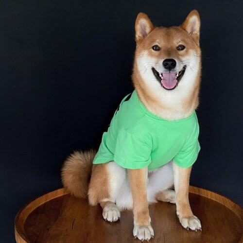 Pet Dog Summer T-shirt Vest Clothes Apparel for Small Medium Dogs French Bulldog Schnauzer Pomeranian Pug Shiba Costume PDC0052