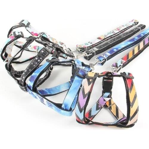 2020 New Traction Rope Dog Leash Pet Supplies Small and Medium-sized Dog Accessories Multi-color sports Nylon Dog Collar