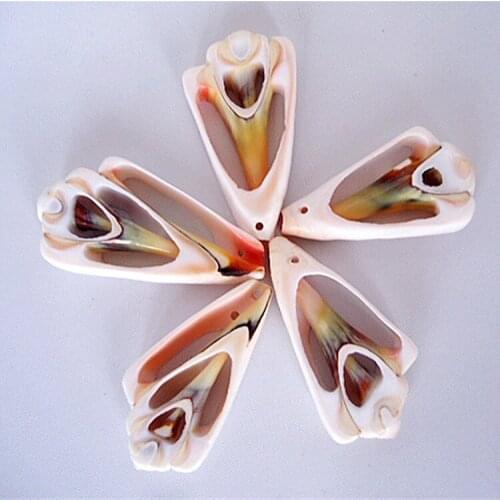 HALF NATURAL SPIRAL SHELL WITH ONE HOLE LOOSE BEADS FOR JEWELRY/PHOTO FRAME CRAFT DECORATION10PCS 40-50MM SEA CONCH