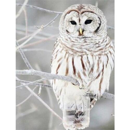 Exquisite Owl 3D Rhinestone Embroidery Square Round 5D DIY Diamond Painting Animal Cross Stitch Home Decoration Gift XN930