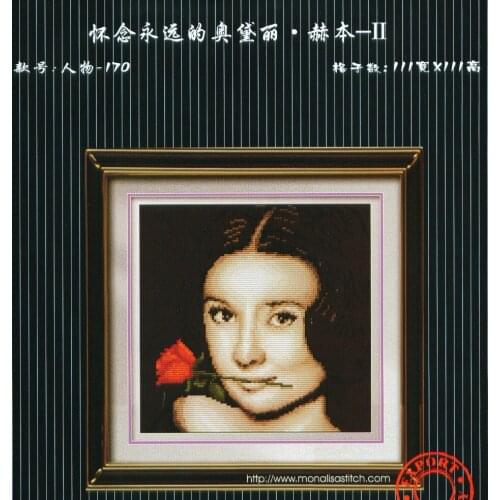 8-RW170 30-30 Cross Stitch Set DIY Kit Embroidery Needlework Craft Packages Cotton Fabric Floss