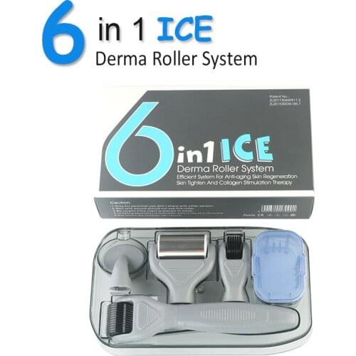 Hot Sale 6 in 1 Derma Roller Stainless Micro Needles Derma Roller Kit Ice Roller For Face Body Massager Skin Rejuvenation