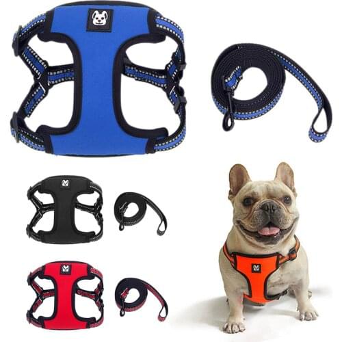 Dog Harness Leash Szelki Dla Psa Pettorina Cane Kopek Aksesuar Arnes Para Perro Hondentuigjes Peitoral Cachorro Dog Accessories