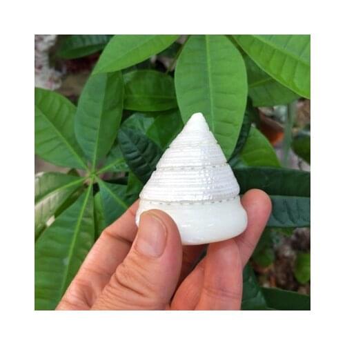 4-5cm natural conch shell moonlight tower snail Mediterranean floor home decoration fluorescent small tower snail