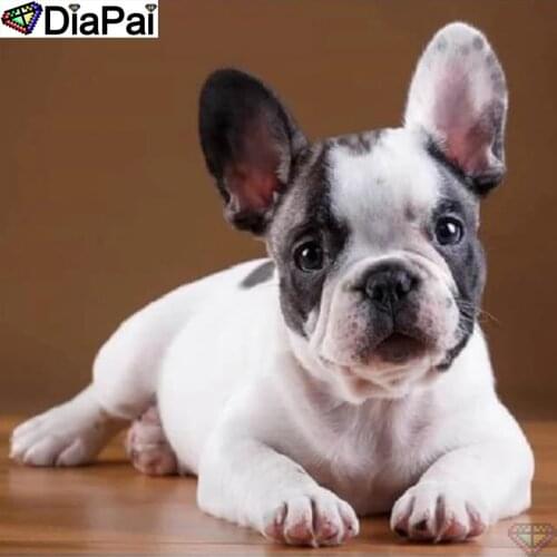 DIAPAI Diamond Painting "Animal dog" Cross Stitch Custom Photo Diamond Embroidery Square Round Drill Home Decor A26193