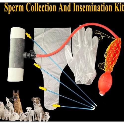 1 Set Canine Artificial Insemination Kit Pet Dog Sperm Collect Device Bags Semen Injection Deposition Pipe Tube Gloves Catheter