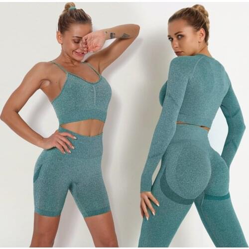 Seamless Women Yoga Set High Waist Yoga Pants Gym Clothing Women Sportswear Sport Shorts Sports Bra T-shirt Workout Gym Set