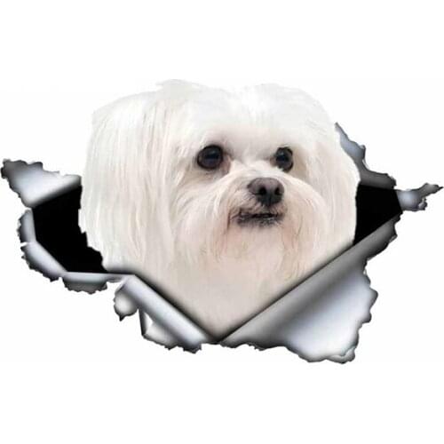 B0101# Self-adhesive Decal Pet Dog Car Sticker Waterproof Auto Decors on Bumper Rear Window