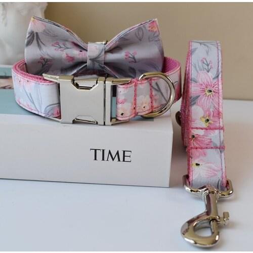 Dog Collar And Dog Leash Automatic Retractable Combo Set, Collars Free Engraved Bowknot Dog Neck Belt Cat Accessories