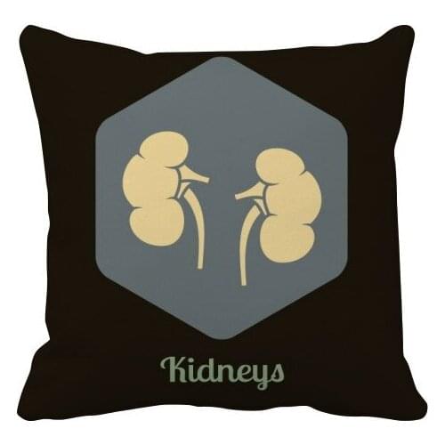 Body Internal Organs Kidney Throw Pillow Square Cover