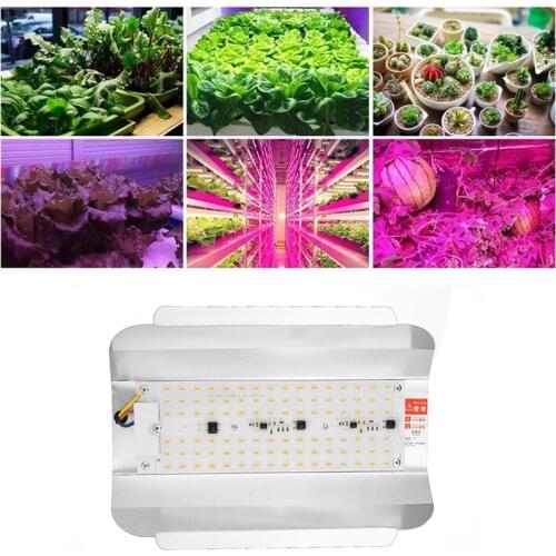 Лампы для растений Moonlux China At AliExpress